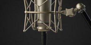 Warm Audio WA-87 Конденсаторный студийный микрофон